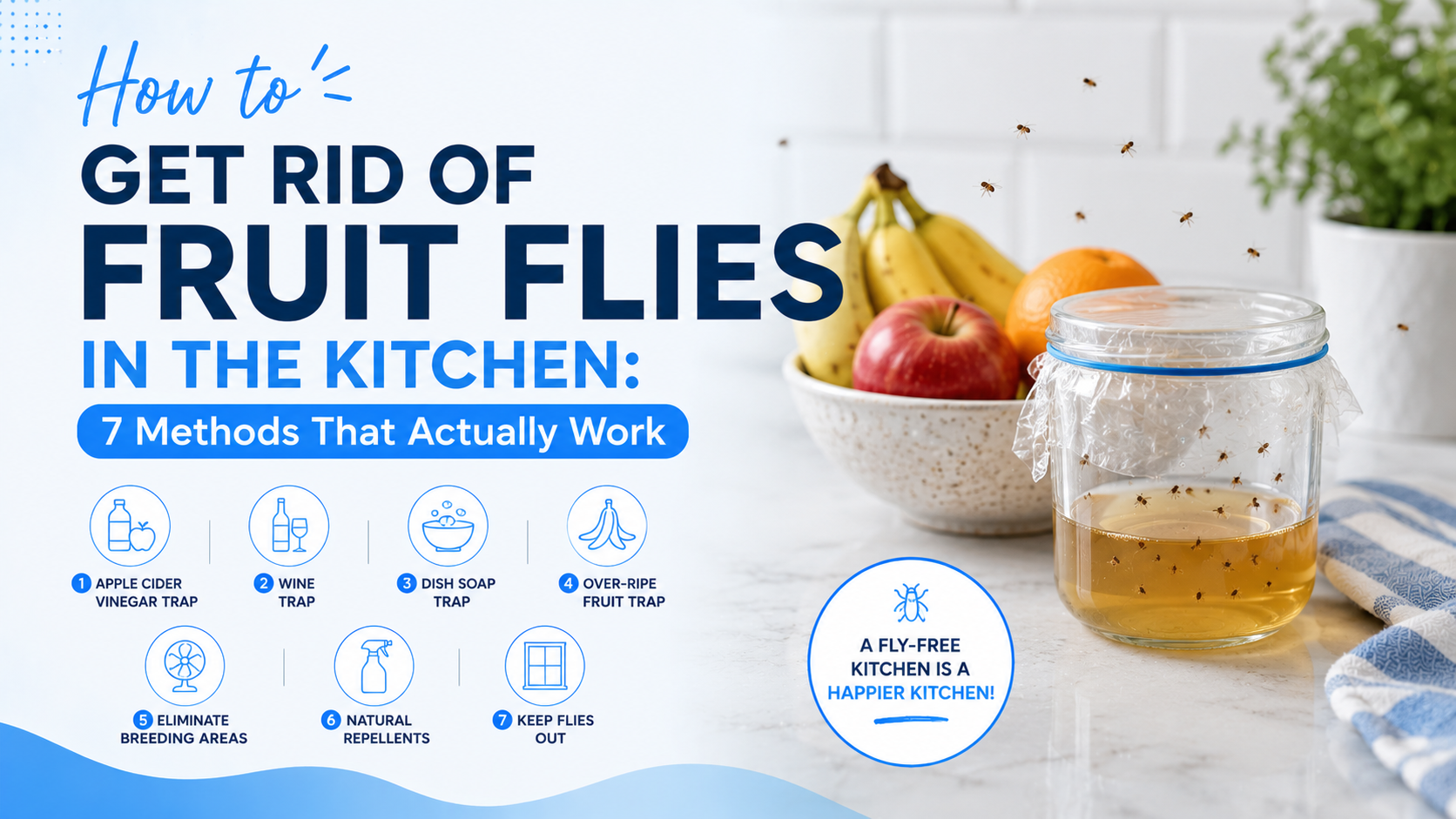 How to Get Rid of Fruit Flies in the Kitchen