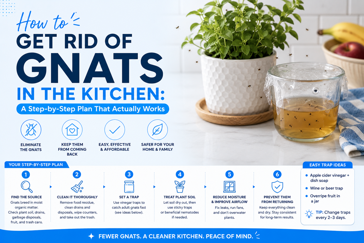 How to Get Rid of Gnats in the Kitchen