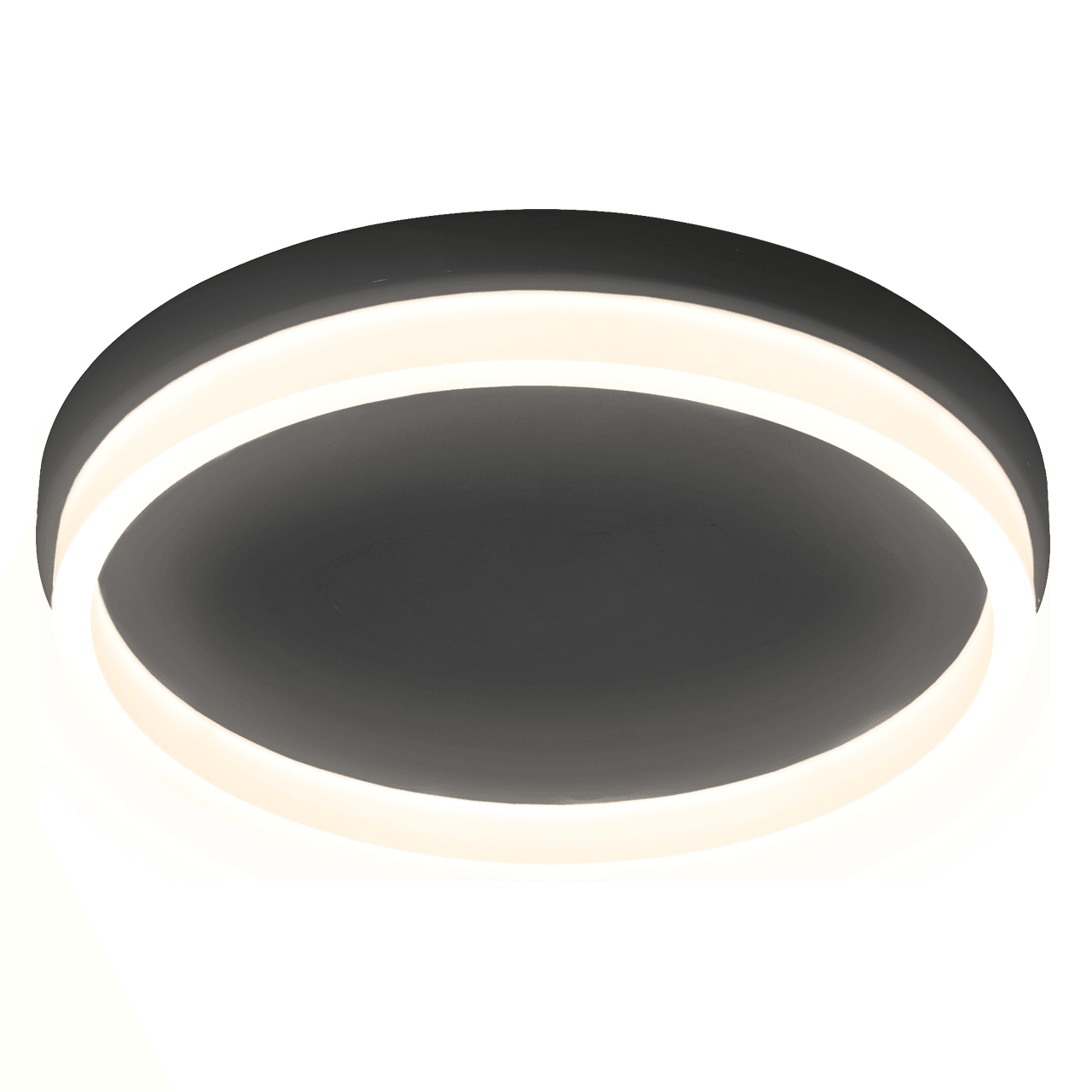 Pageone - Anello (L) 18.5"s. Ceiling. Flush Mount - Hbdepot