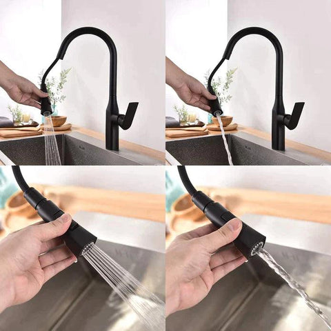 Kodaen Timelyss Pull-Down Dual Spray Kitchen Faucet F23134 - Hbdepot