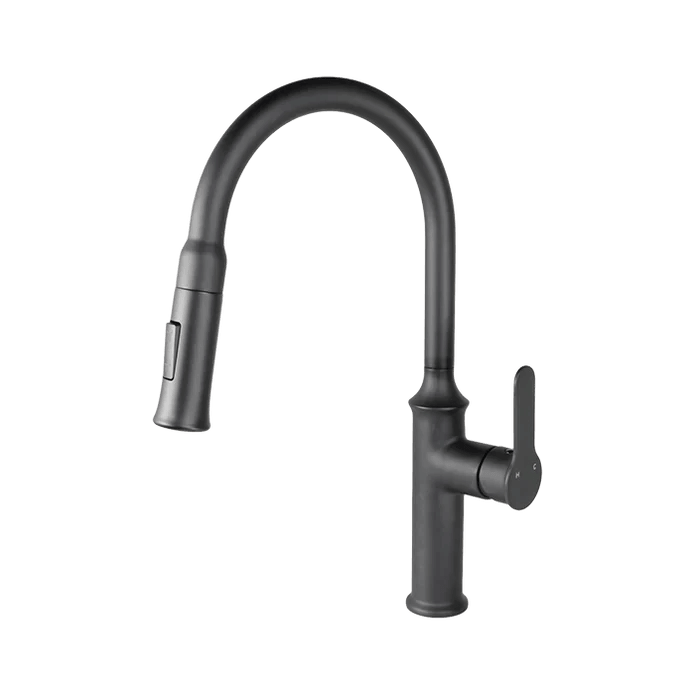 Kodaen Vuitton Pull-Down Dual Spray Kitchen Faucet F23900 - Hbdepot