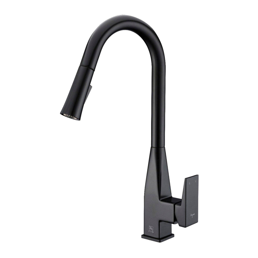 Mica Pull-Out Kitchen Faucet (Dual Spray) - Hbdepot
