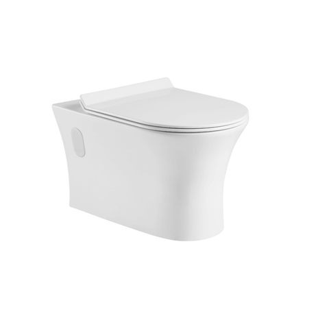 Tabora Dual Flush Wall-mount Toilet with Soft Close Seat - Hbdepot