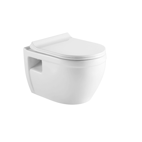 Tiguane Dual Flush Wall-mount Toilet with Soft Close Seat - Hbdepot