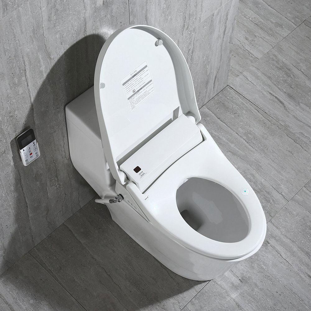 Titan Smart Toilet Seat with Bidet Function - Hbdepot